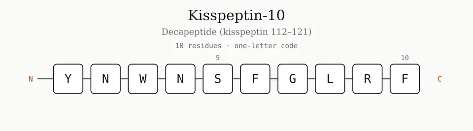 Kisspeptin-10 — decapeptide structure