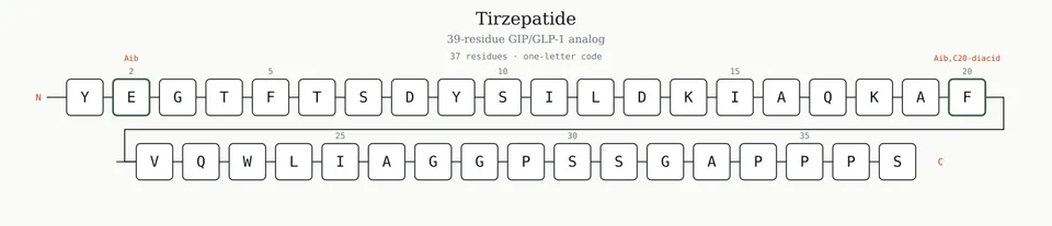 Tirzepatide — 39-residue amino acid sequence